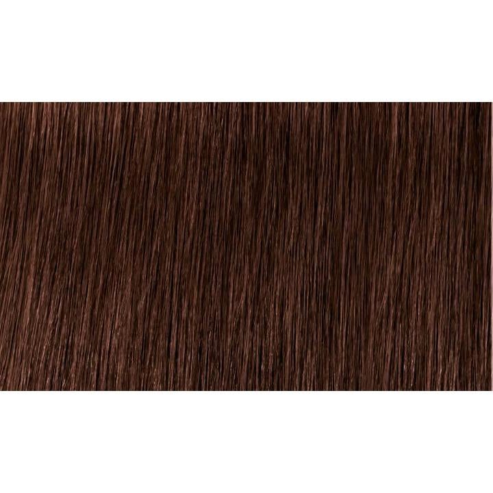Indola Colour 5.56-Light Brown Mahogany Red - WAHairSuppliers