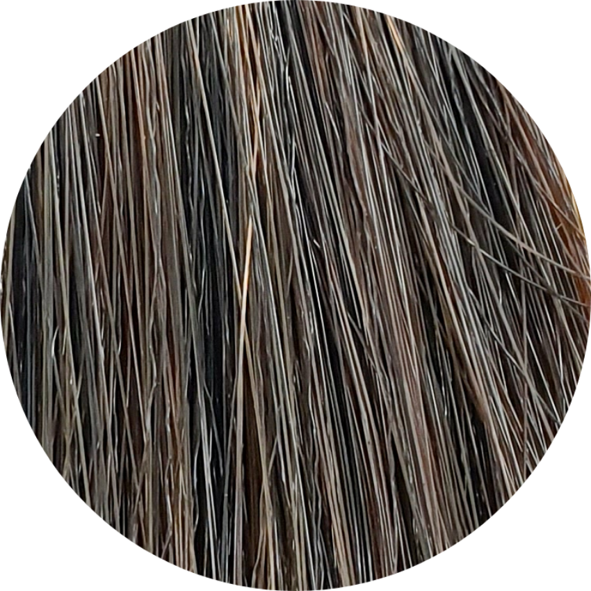 Color Touch CT (Plus) 55/04-Light Brown Natural Red - WAHairSuppliers