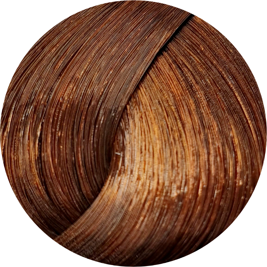 Schwarzkopf Igora Royal Absolutes 6-70 Dark Blonde Copper Nat 60ml - WAHairSuppliers