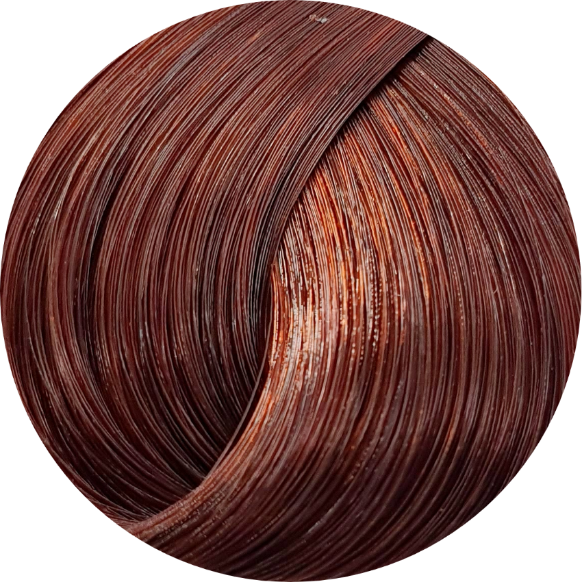 Schwarzkopf Igora Royal Absolutes 6-80 Dark Blonde red Nat 60ml - WAHairSuppliers