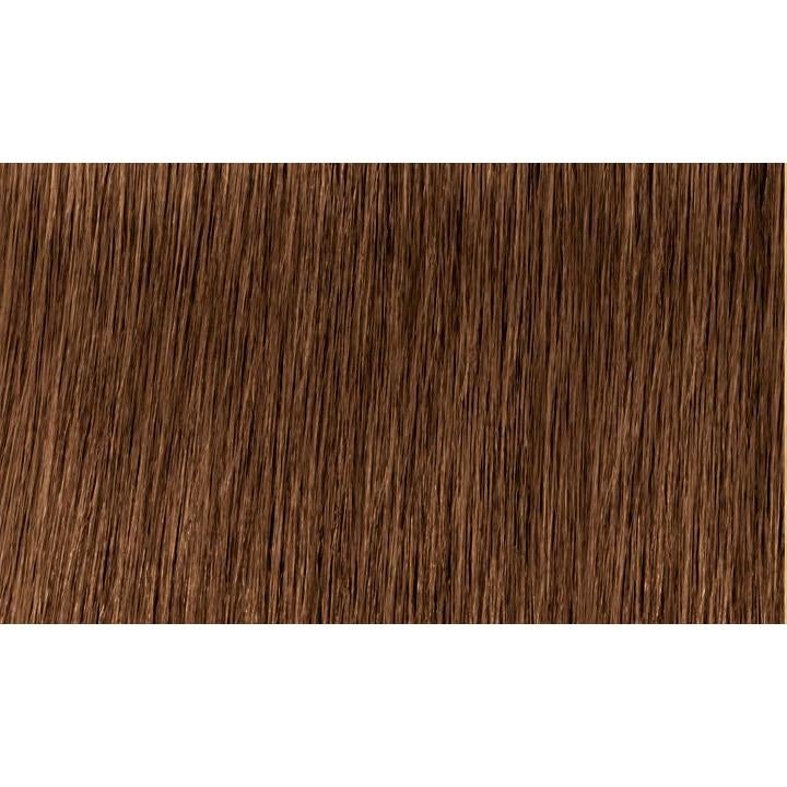 Indola Colour 6.3-Dark Blonde Gold - WAHairSuppliers