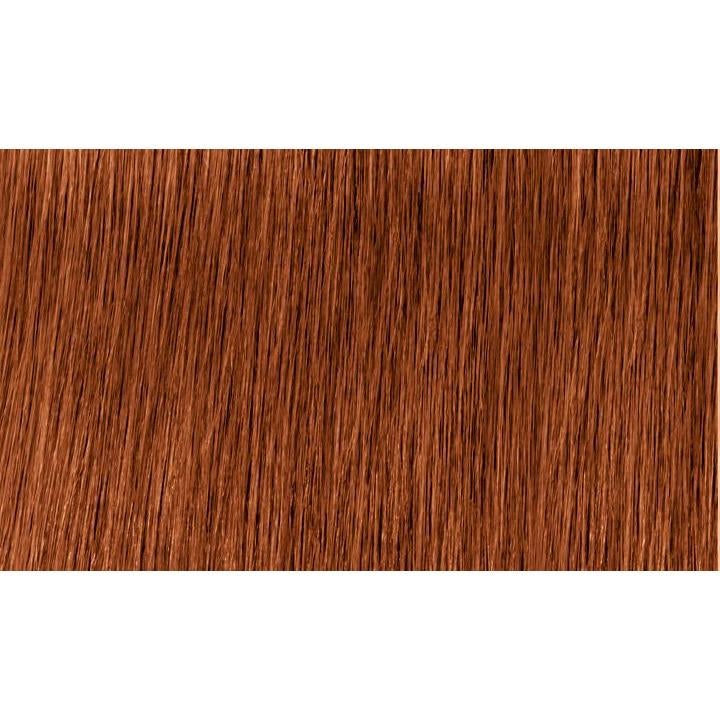 Indola Colour 6.4-Dark Blonde Copper - WAHairSuppliers