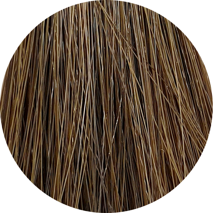 Color Touch CT (Plus) 66/03-Dark Blonde Int. Natural Gold - WAHairSuppliers
