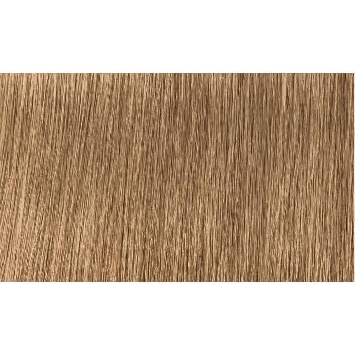 Indola Colour 7.03-Medium Blonde Natural Gold - WAHairSuppliers