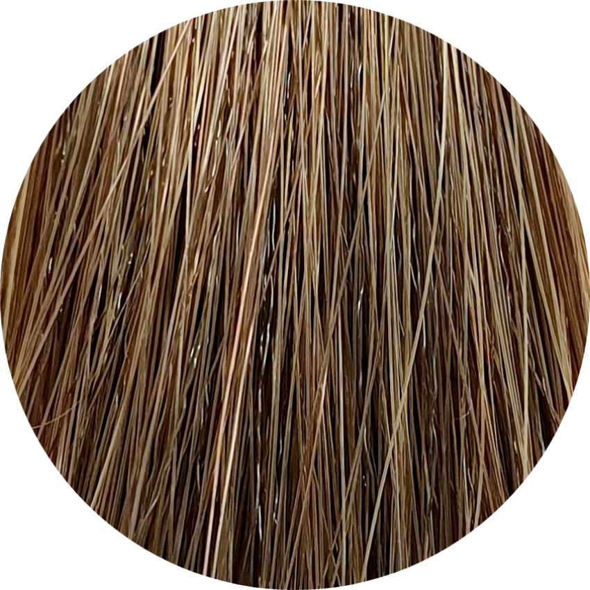 Color Touch CT (Plus) 77/03-Medium Gold Intense Blonde - WAHairSuppliers