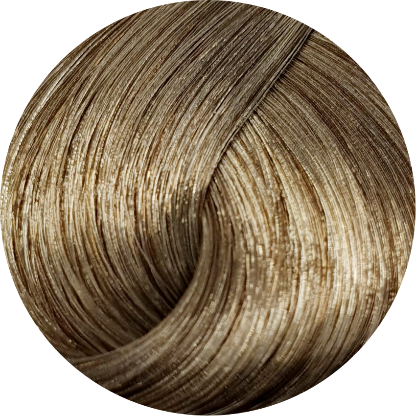 Schwarzkopf Igora Royal Absolutes 8-01 Light Blonde Nat Cendre 60ml - WAHairSuppliers