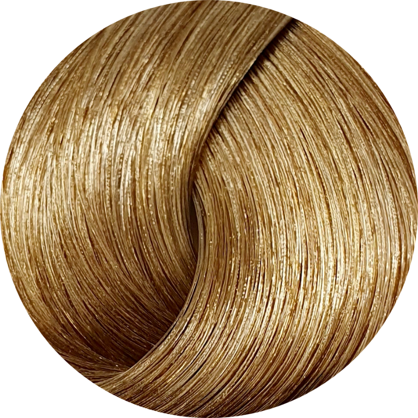 Schwarzkopf Igora Royal 8-65 Light Blonde Choc Gold 60ml - WAHairSuppliers