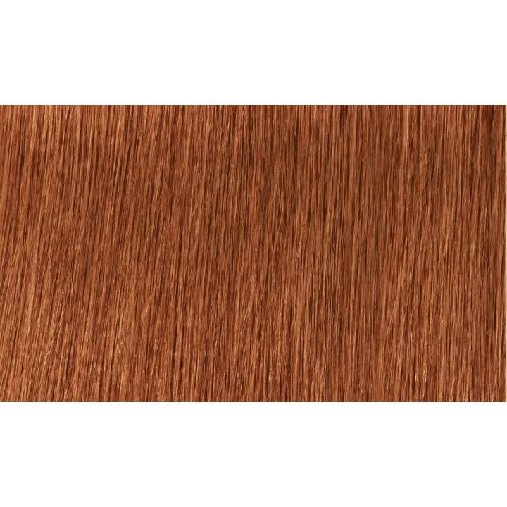 Indola Colour 8.43-Light Blonde Copper Gold - WAHairSuppliers