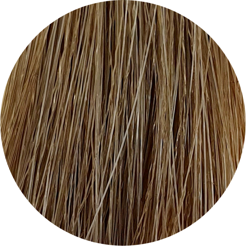 Color Touch CT (Plus) 88/03-Intense Light Natural Gold Blonde - WAHairSuppliers