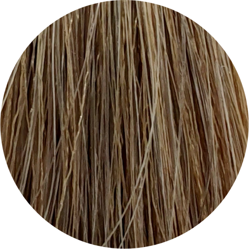 Color Touch CT (Plus) 88/07-Light Blonde Natural Brown - WAHairSuppliers