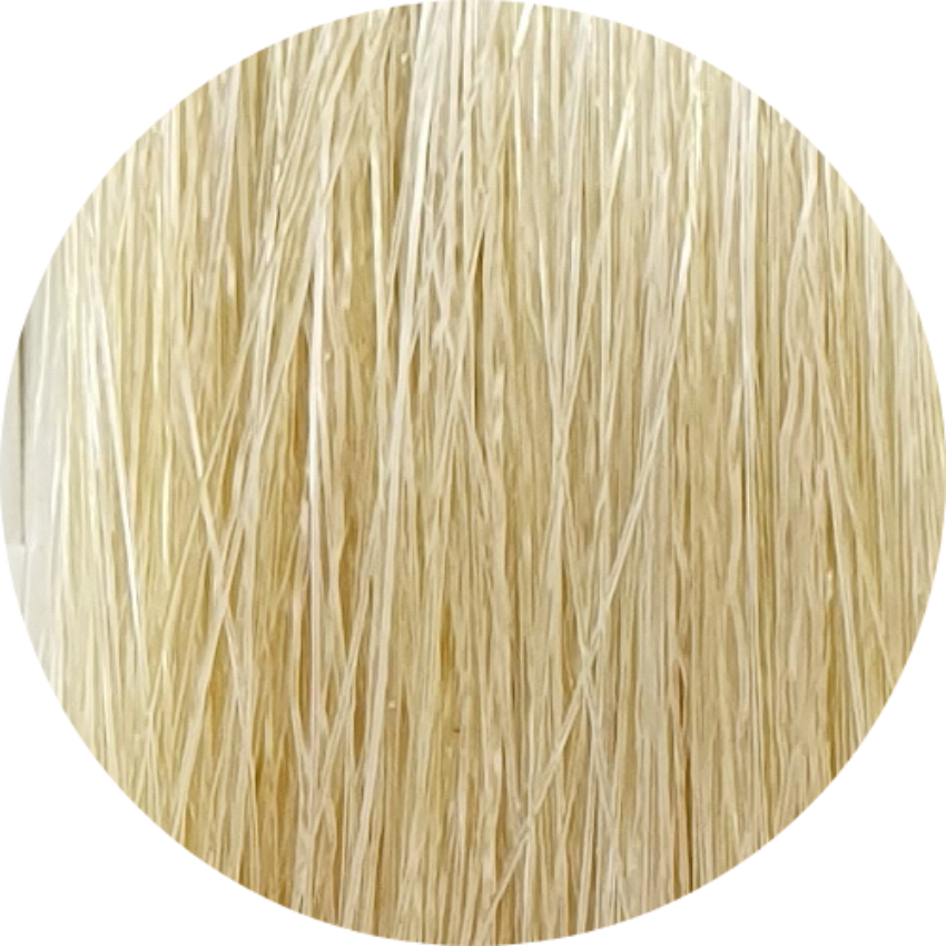 Koleston Perfect KP 10/0- Lightest Blonde - WAHairSuppliers