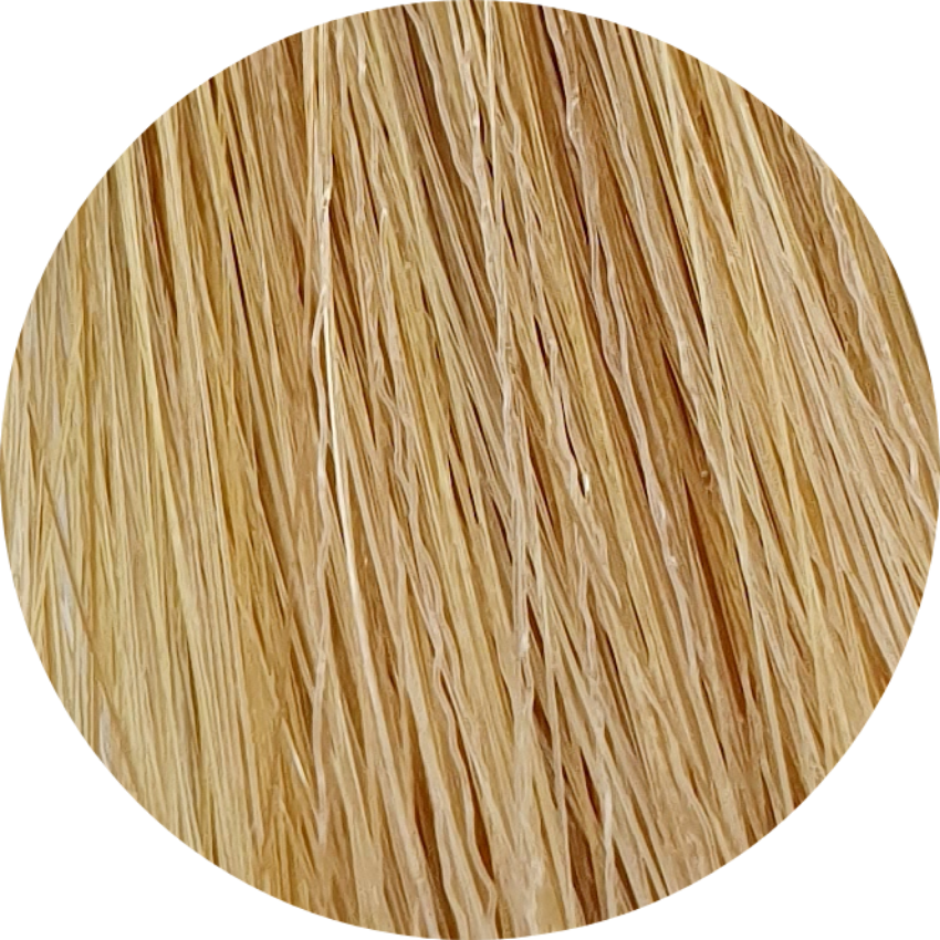 Color Touch CT 10/73-Lightest Blonde Brown Gold - WAHairSuppliers