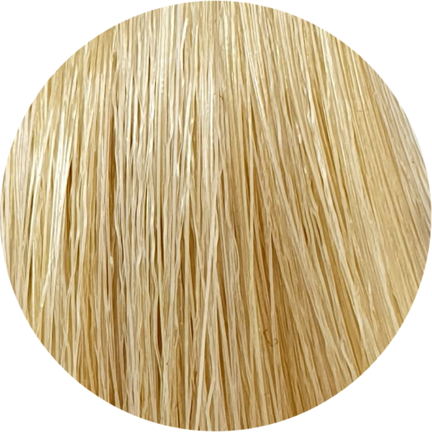 Color Touch CT 10/3-Lightest Blonde Gold - WAHairSuppliers