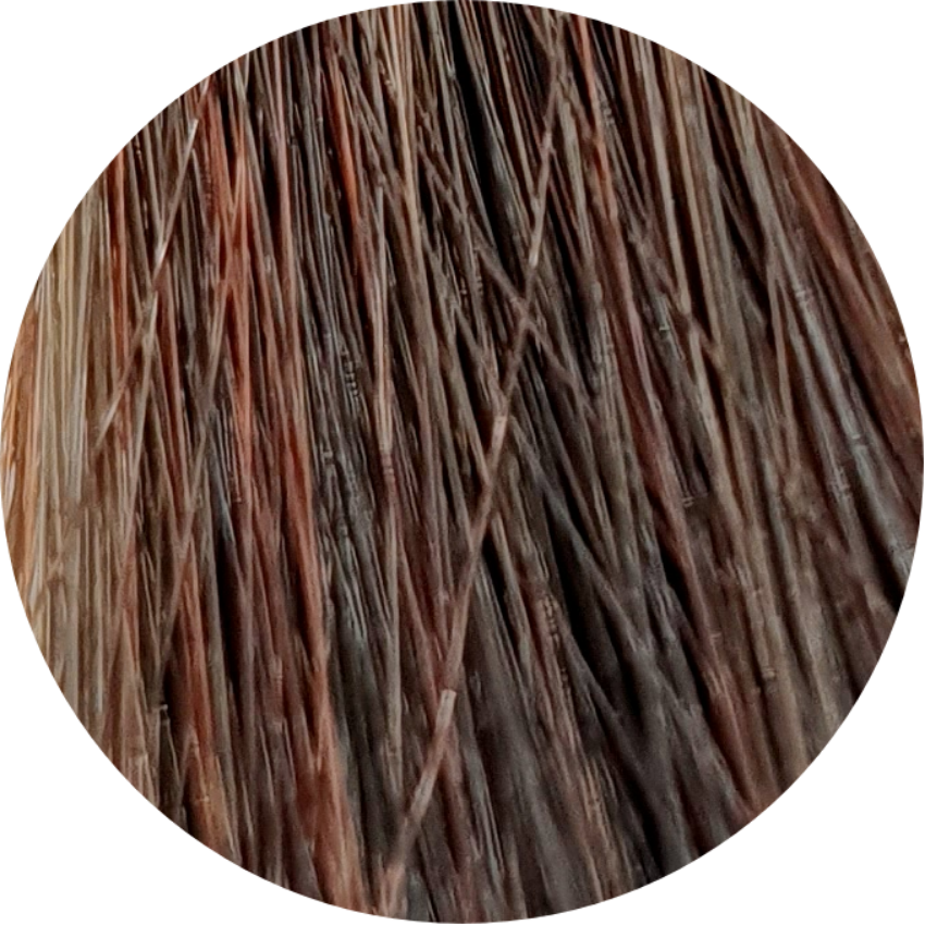 Color Touch CT 6/77-Dark Int. Brunette Blonde - WAHairSuppliers