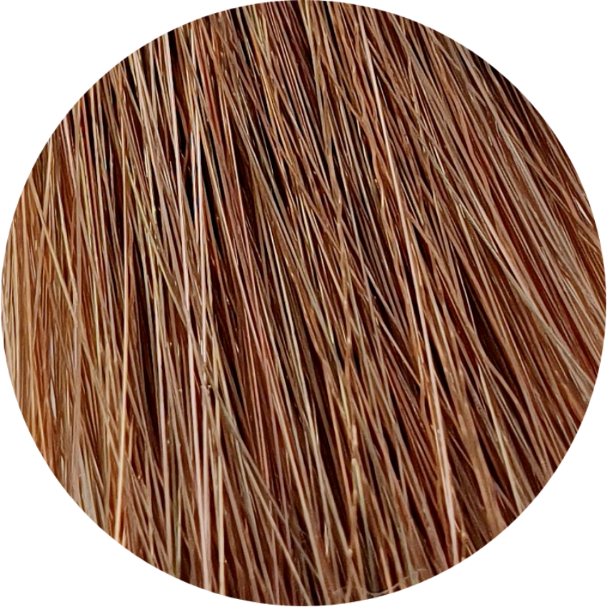 Color Touch CT 7/75-Medium Blonde Brown Mahogany - WAHairSuppliers