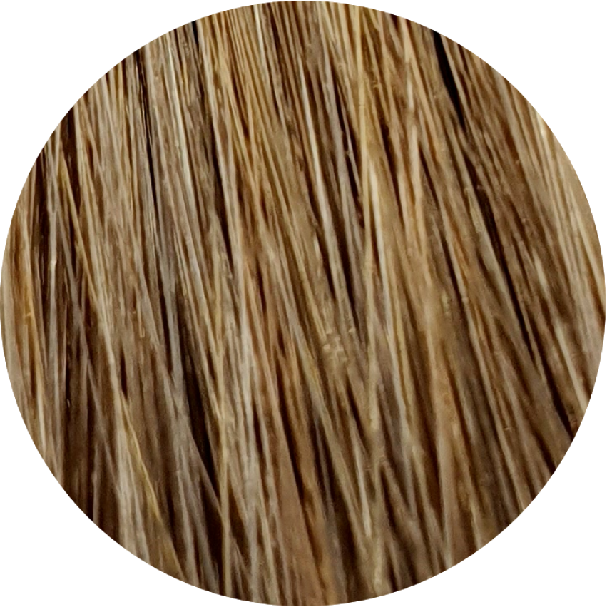 Color Touch CT 8/71-Light Blonde Brunette Ash - WAHairSuppliers