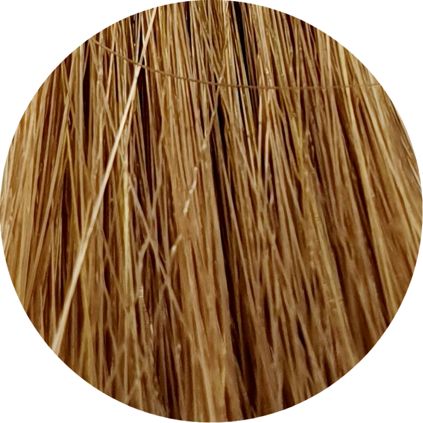 Color Touch CT 8/73-Light Blonde Brown Gold - WAHairSuppliers