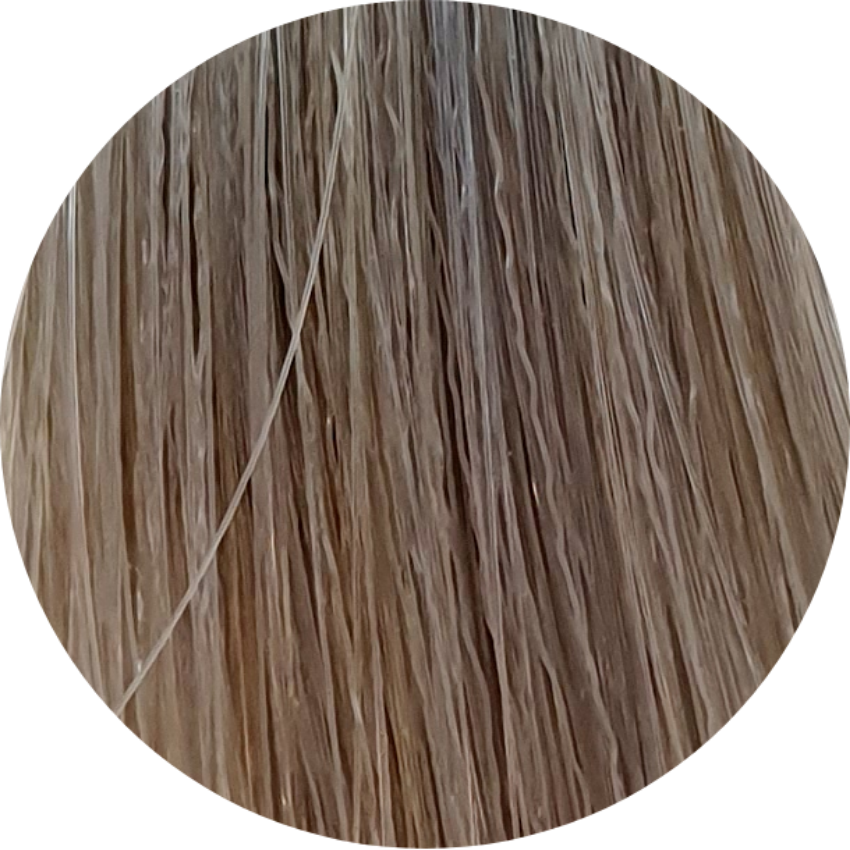 Color Touch CT 8/81-Light Blonde Pearl Ash - WAHairSuppliers