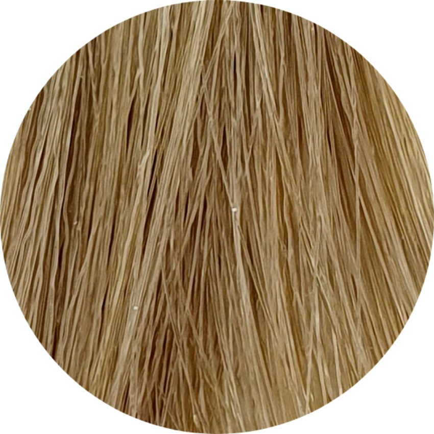 Color Touch CT 9/01-Very Light Blonde Natural Ash - WAHairSuppliers