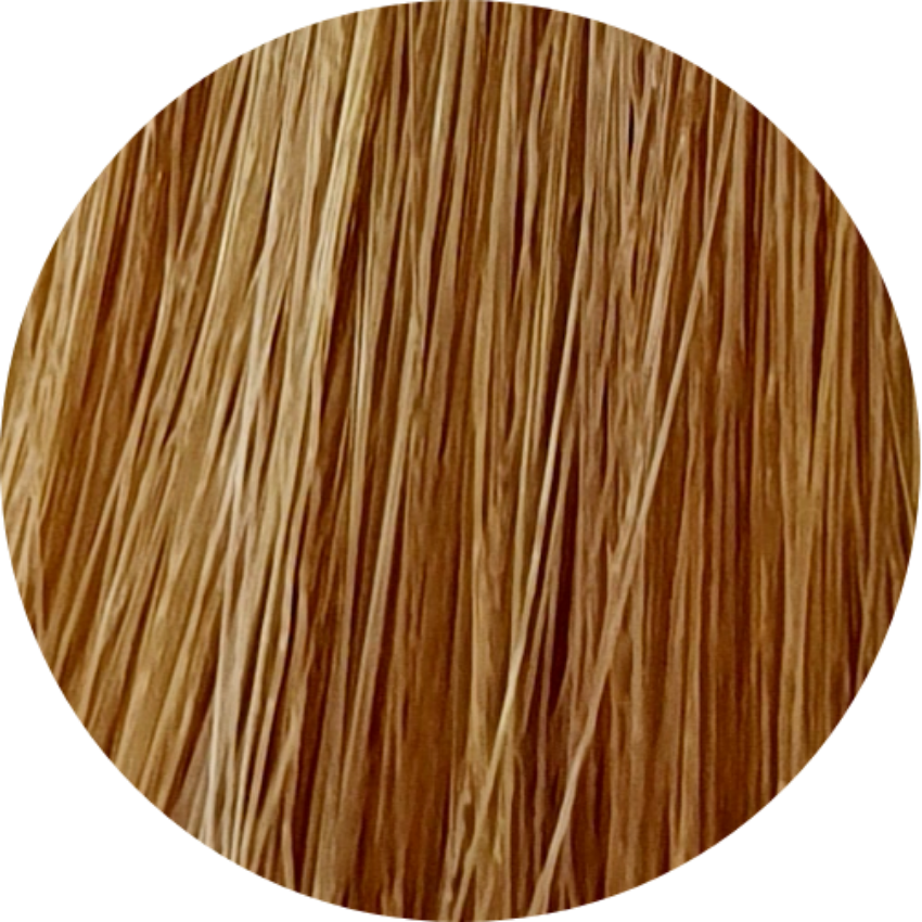 Color Touch CT 9/03-Very Light Blonde Nat. Gold - WAHairSuppliers
