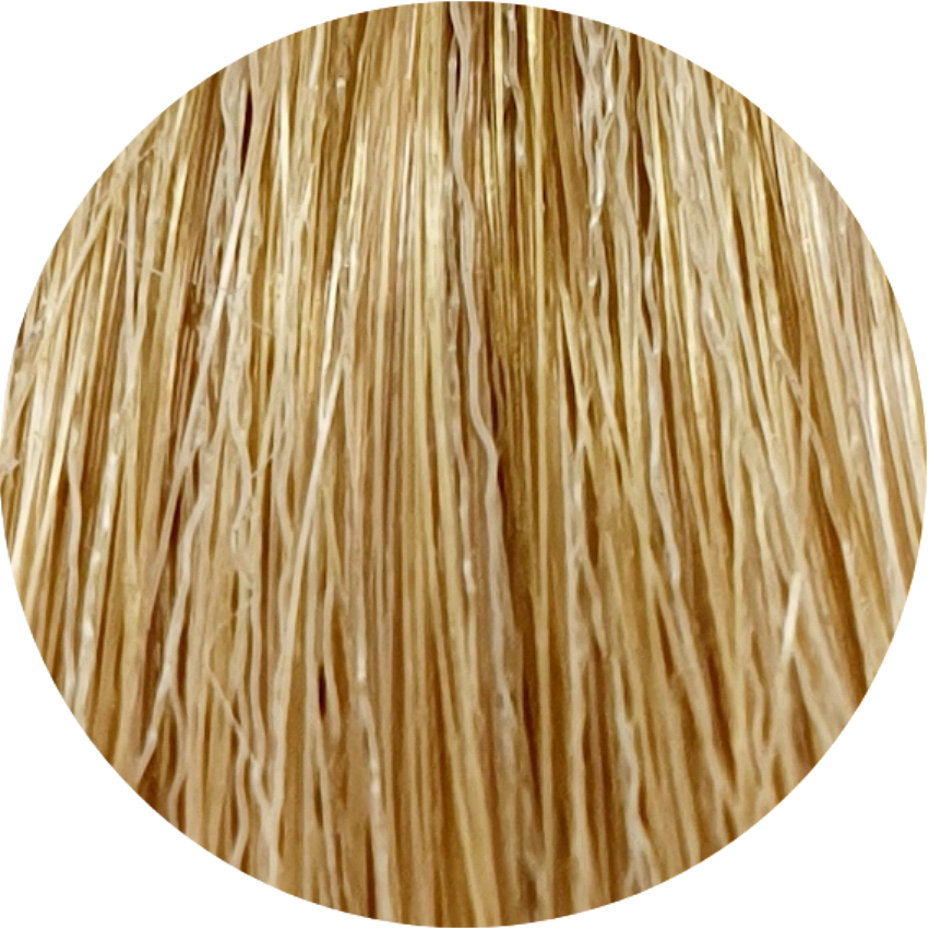 Color Touch CT 9/73-Very light Brunette Gold Blonde - WAHairSuppliers