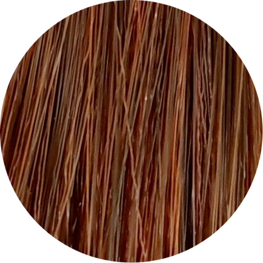 Koleston Perfect KP 6/34-Dark Blonde Golden Red - WAHairSuppliers