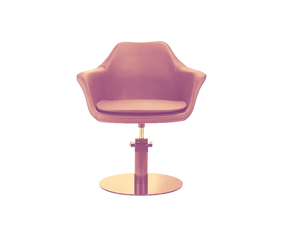 Hairdresser Chair Model: H-7296 Coffee