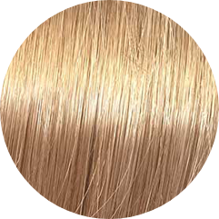 Koleston Perfect KP 9/31-Very Light Blonde Gold Ash