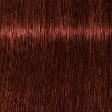 Schwarzkopf Igora Royal Absolutes 5-80 Light brown Red Natural - WAHairSuppliers