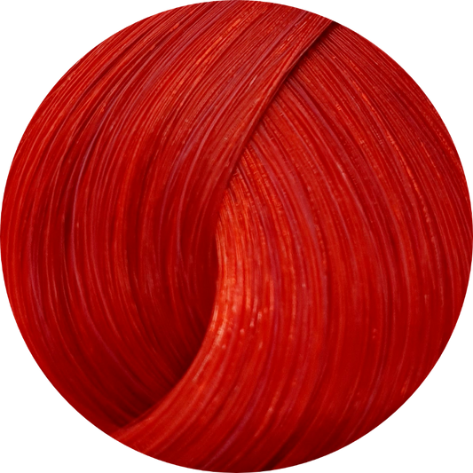 Schwarzkopf Igora Royal 0-88 Red Concentrate - WAHairSuppliers