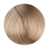 Fanola 11.13 Superlight Blonde Platinum Beige 100ml - WAHairSuppliers