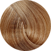 Fanola 10.14-Almond - WAHairSuppliers
