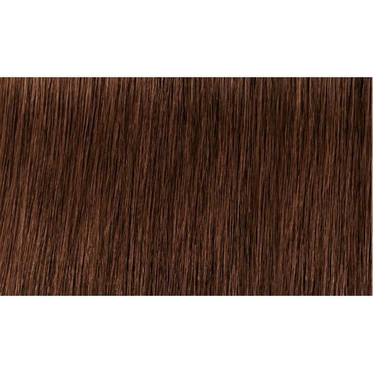 Indola Colour 5.35-Light Brown Gold Mahogany - WAHairSuppliers