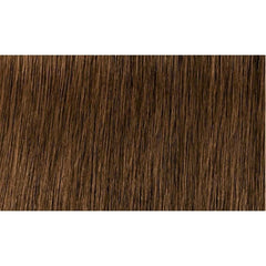 Indola Colour 5.3-Light Brown Gold