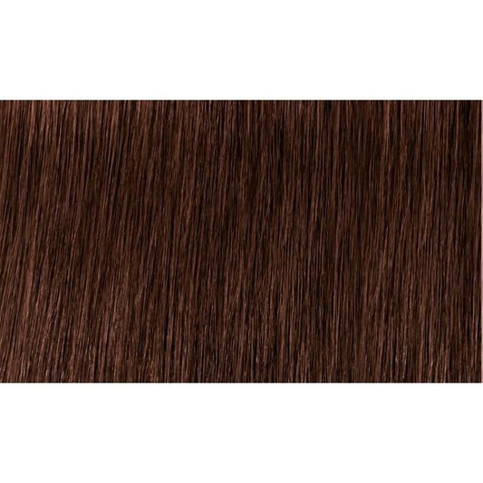 Indola Colour 5.56-Light Brown Mahogany Red - WAHairSuppliers