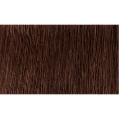 Indola Colour 5.56-Light Brown Mahogany Red