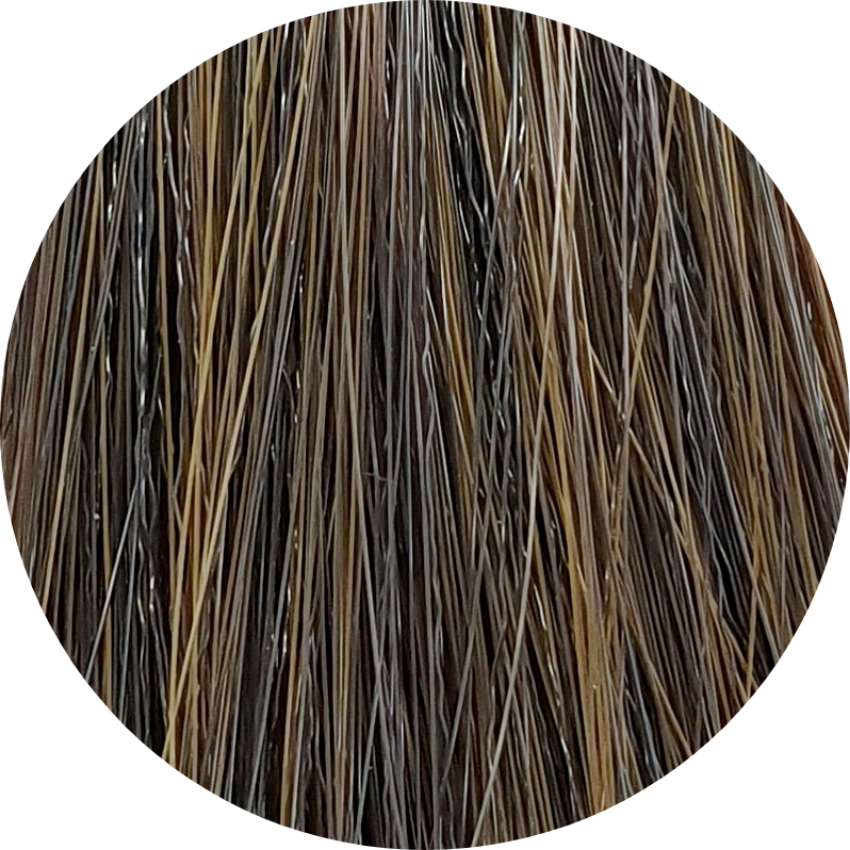 Color Touch CT (Plus) 55/03-Light Brown Natural Gold - WAHairSuppliers