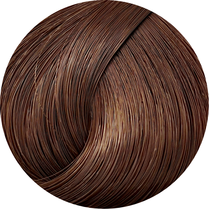 Schwarzkopf Igora Royal 6-65 Dark Blonde Chocolate Gold 60ml - WAHairSuppliers