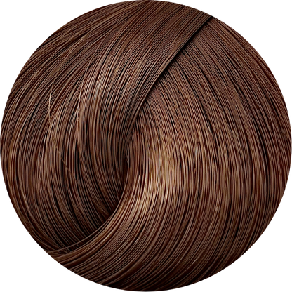 Schwarzkopf Igora Royal 6-65 Dark Blonde Chocolate Gold 60ml - WAHairSuppliers