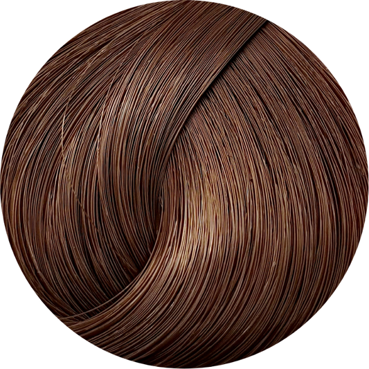 Schwarzkopf Igora Royal 6-65 Dark Blonde Chocolate Gold 60ml - WAHairSuppliers