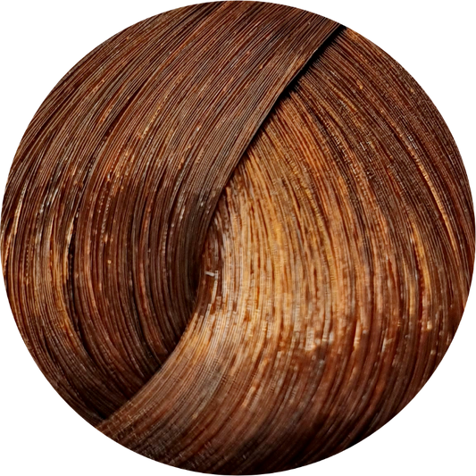 Schwarzkopf Igora Royal Absolutes 6-70 Dark Blonde Copper Nat 60ml - WAHairSuppliers