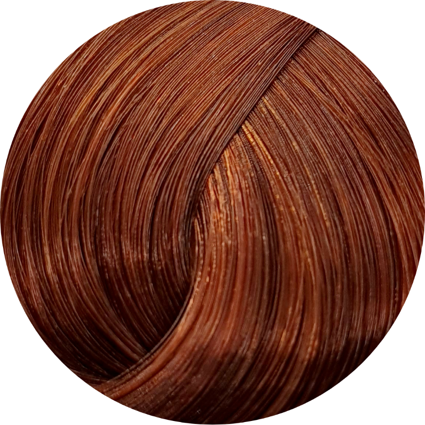 Schwarzkopf Igora Royal 6-77 Dark Blonde Copper Extra 60ml - WAHairSuppliers