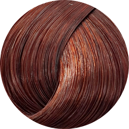 Schwarzkopf Igora Royal Absolutes 6-80 Dark Blonde red Nat 60ml - WAHairSuppliers