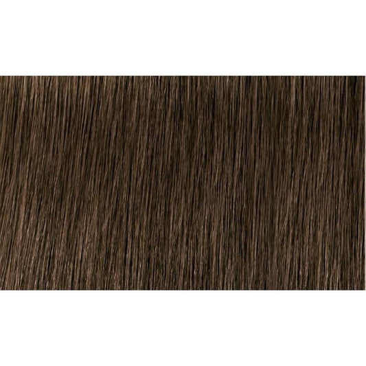 Indola Colour 6.00-Dark Blonde Intense Natural - WAHairSuppliers