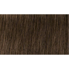 Indola Colour 6.00-Dark Blonde Intense Natural