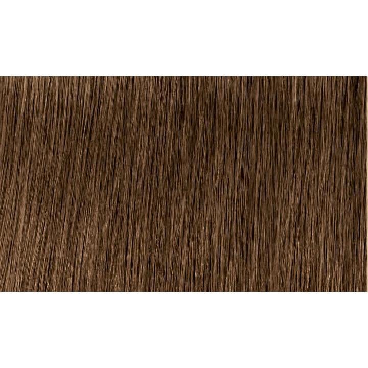 Indola Colour 6.03-Dark Blonde Natural Gold - WAHairSuppliers