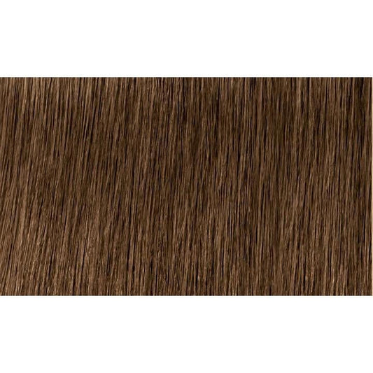 Indola Colour 6.03-Dark Blonde Natural Gold - WAHairSuppliers