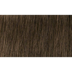 Indola Colour 6.0-Dark Blonde Natural