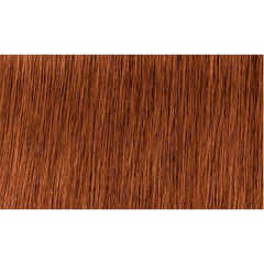 Indola Colour 6.4-Dark Blonde Copper