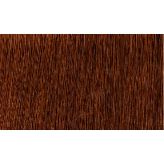Indola Colour 6.60-Dark Blonde Red Natural - WAHairSuppliers